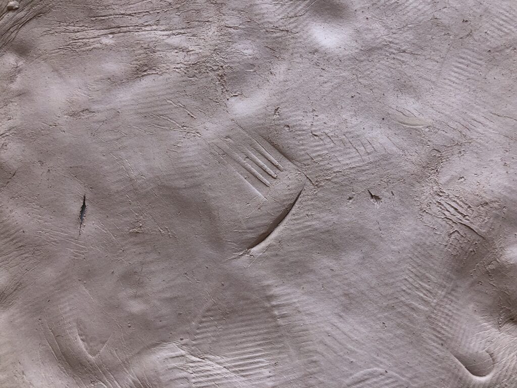 A detail image of a section of a raw ceramic surface containing various impressions.