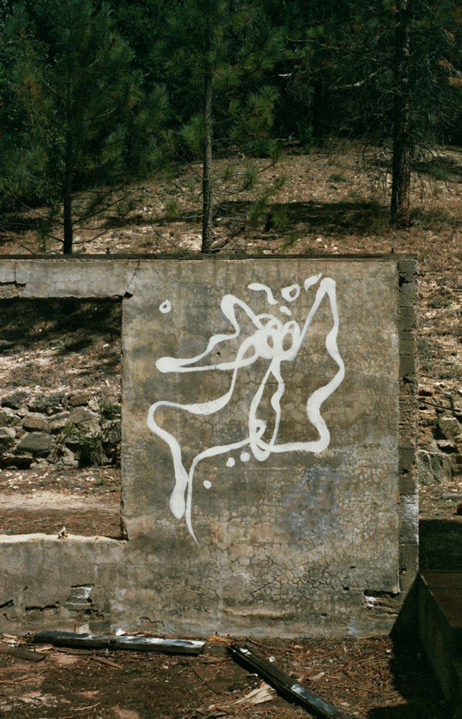 A photograph of a drawing on a dilapidated building. The line is drawn in white and has organic natural curves.