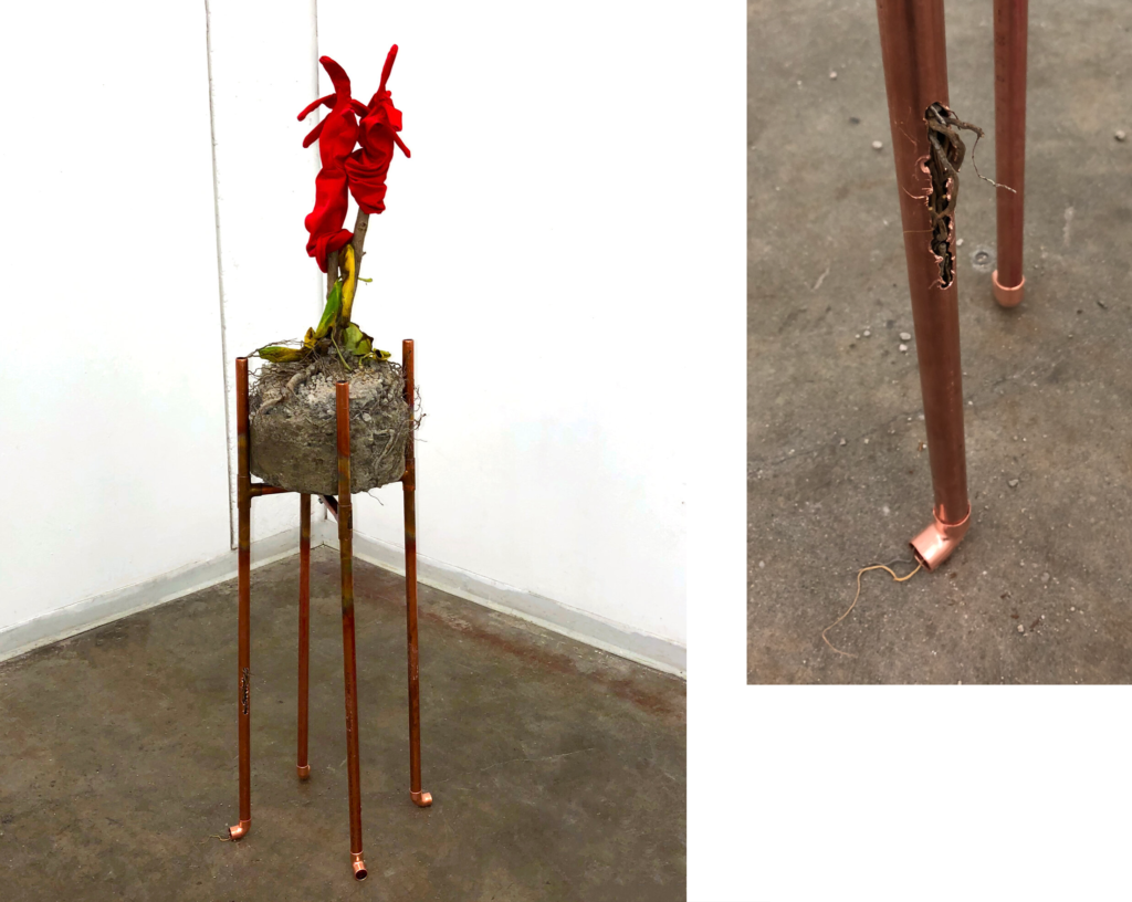 A sculpture standing up by four legs. The support is made from copper pipes which hold a concrete form with roots wrapping around and within the pipes. There are two stems coming from the form where two gloves are placed on top and fading green leaves are placed nearby.