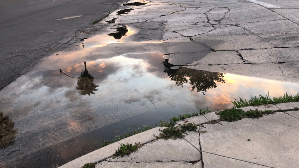 A photograph of a puddle reflecting a sunsetting sky. The concrete holds the water from recent rainfall. There are cracks and plants coming through the cracks. In the reflection there are different types of trees with pink fluffy clouds behind them.
