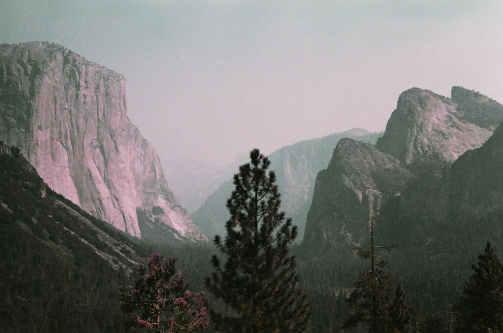 Photograph of Yosemite Valley, punctured at the center by three pine trees